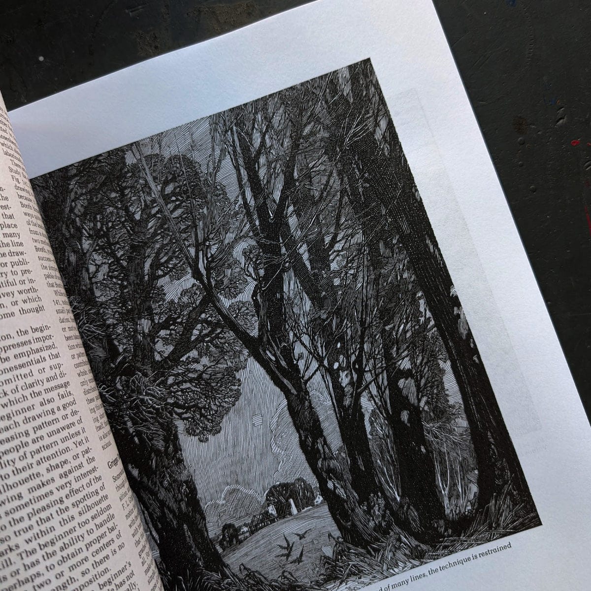 Penguin Random House Trade Book Rendering in Pen and Ink by Arthur L. Guptill