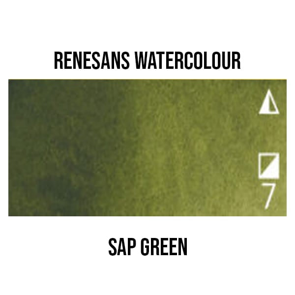 Renesans Watercolour Pan Sap Green - 37 Renesans - Extra-Fine Artists' Watercolours - Half Pans - Series 1