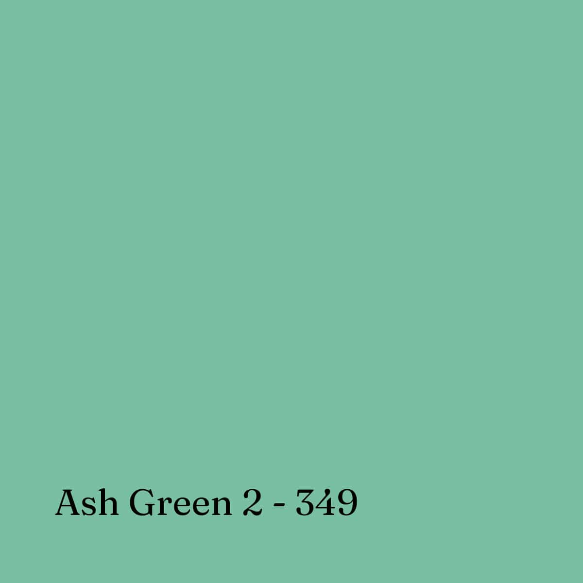 Sennelier Soft Pastel Ash Green 2 - 349 Sennelier - Extra Soft Pastels - Open Stock