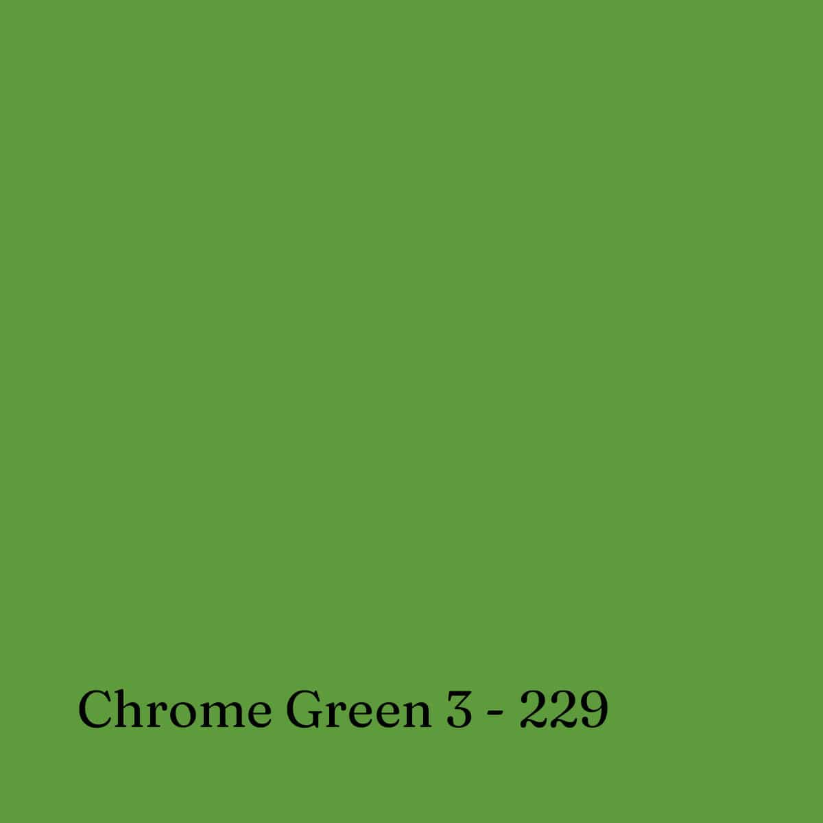 Sennelier Soft Pastel Chrome Green 3 - 229 Sennelier - Extra Soft Pastels - Open Stock