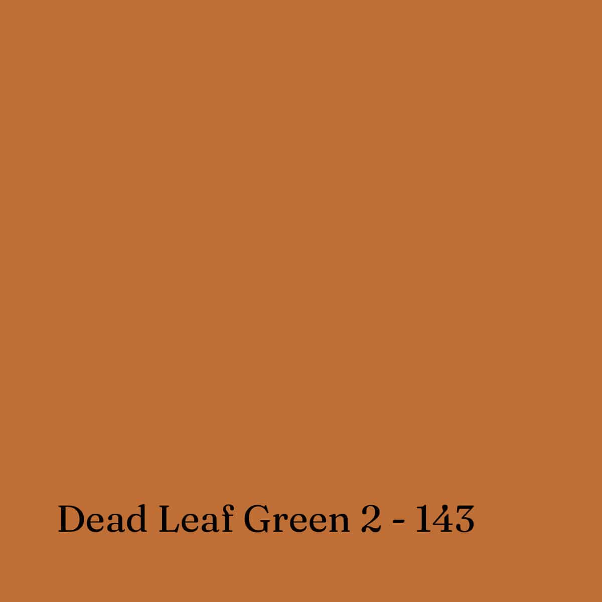 Sennelier Soft Pastel Dead Leaf Green 2 - 143 Sennelier - Extra Soft Pastels - Open Stock