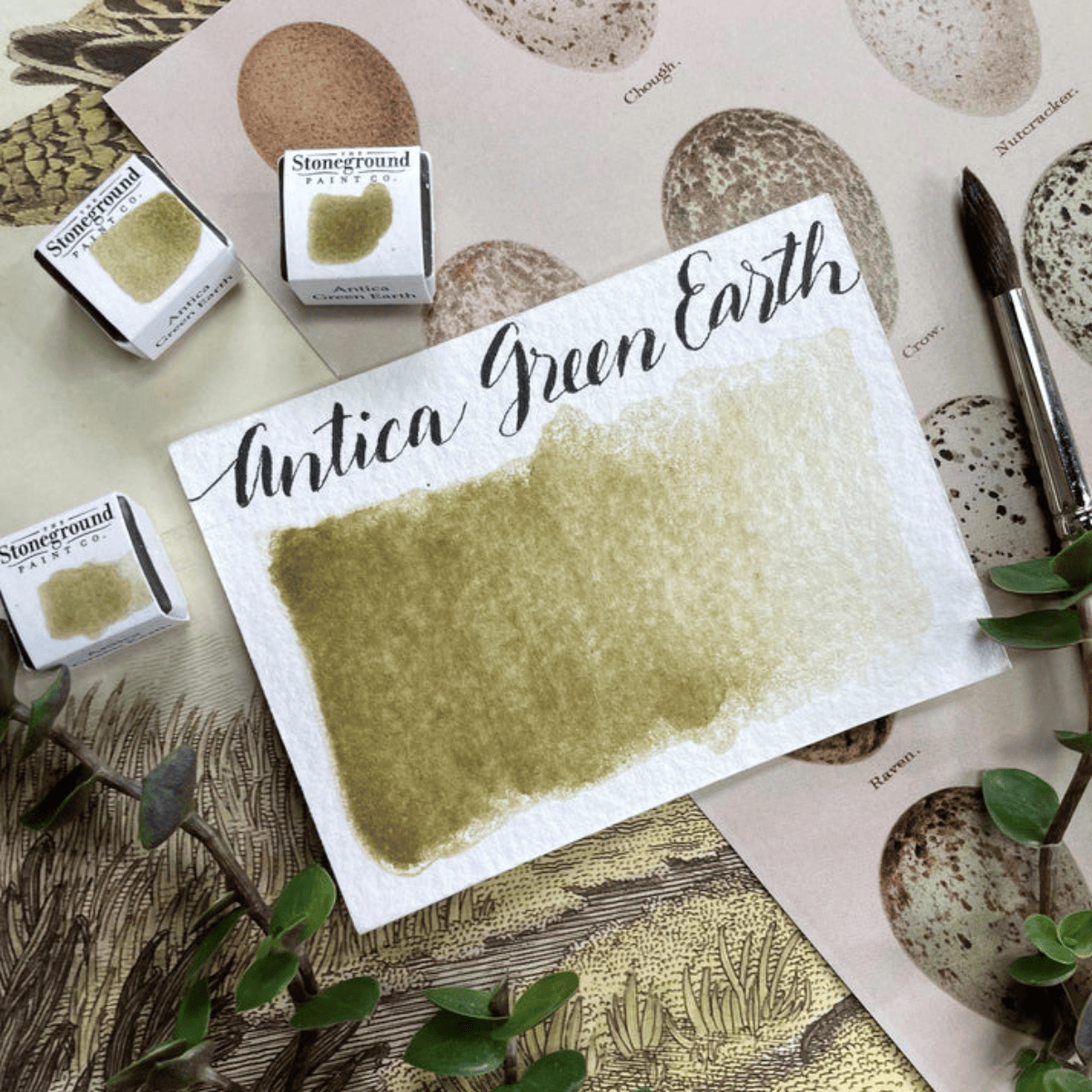 Stoneground Paint Co. Watercolour Pan Antica Green Earth Stoneground - Watercolour Half Pans - Series 1