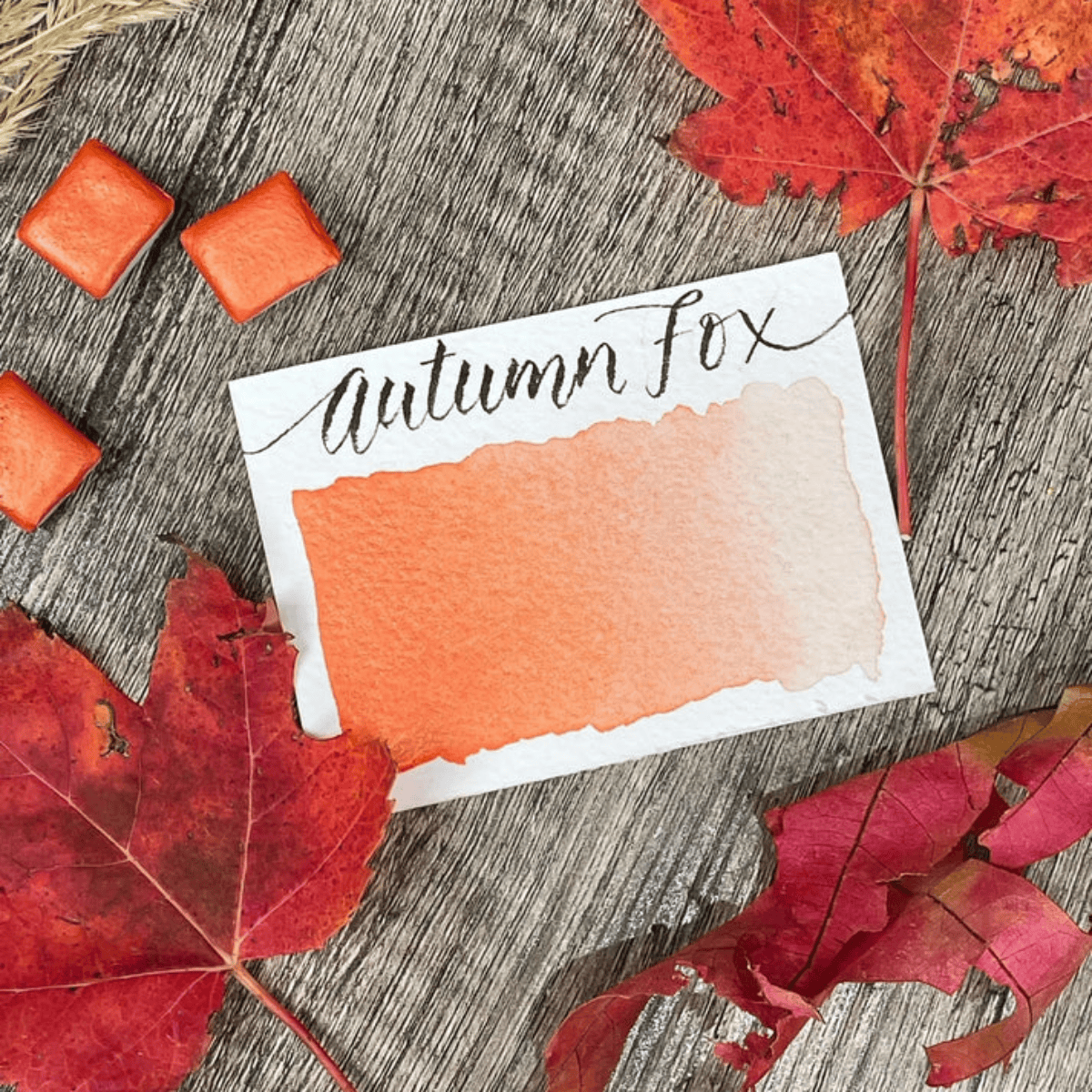 Stoneground Paint Co. Watercolour Pan Autumn Fox - Pearlescent Stoneground - Watercolour Half Pans - Series 3