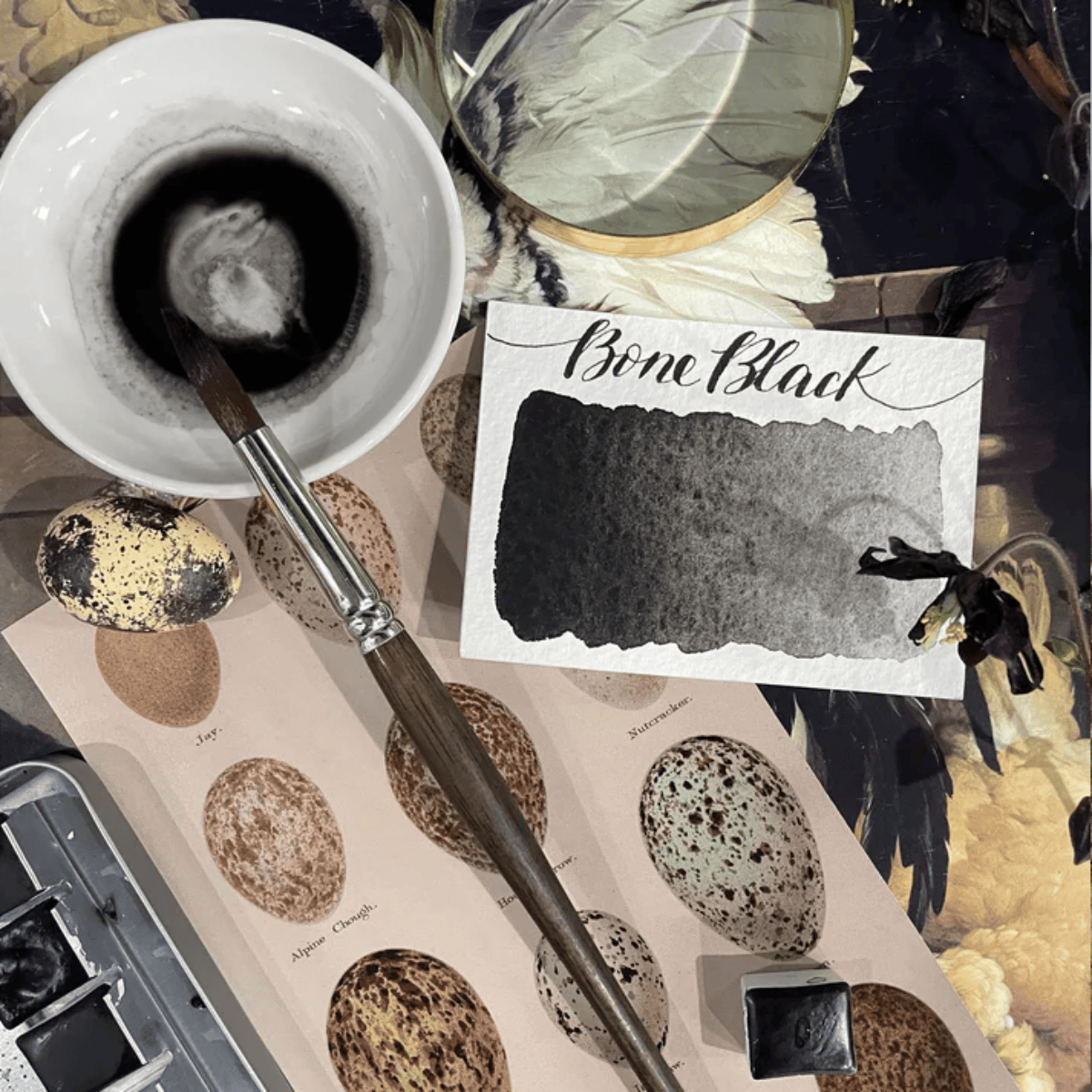 Stoneground Paint Co. Watercolour Pan Bone Black Stoneground - Watercolour Half Pans - Series 1
