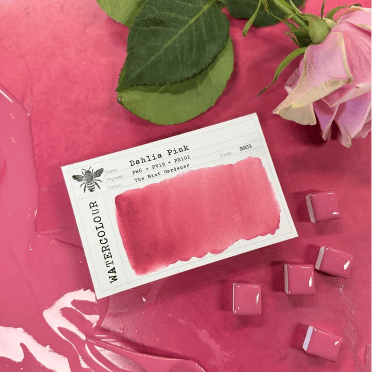 Stoneground Paint Co. Watercolour Pan Dahlia Pink Stoneground - Watercolour Half Pans - Series 5