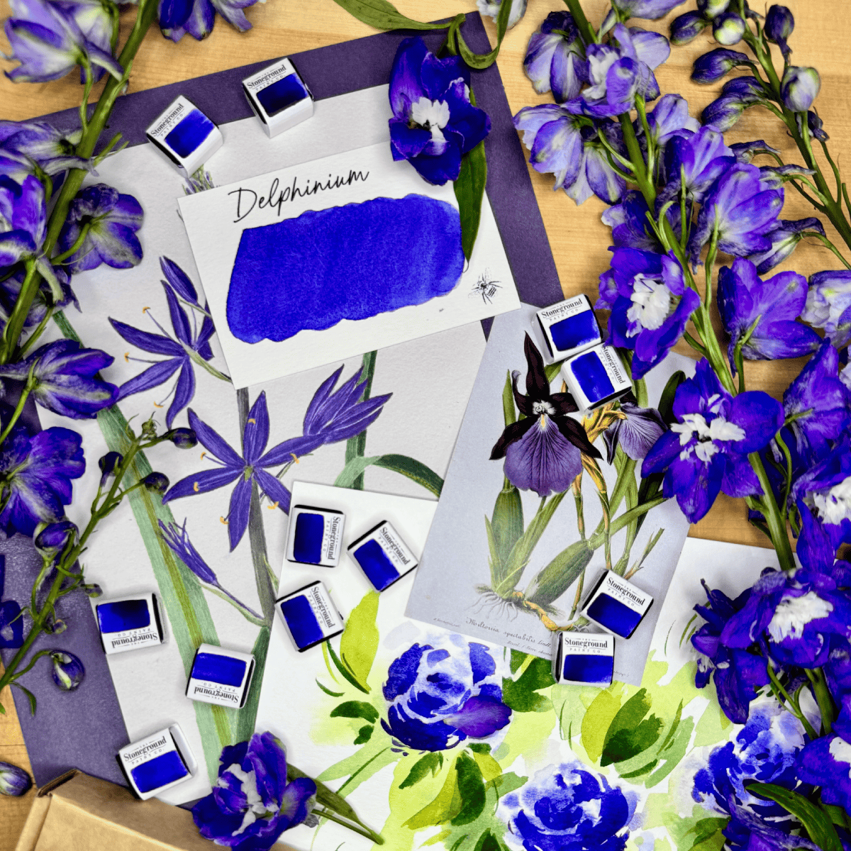 Stoneground Paint Co. Watercolour Pan Delphinium Stoneground - Watercolour Half Pans - Series 4