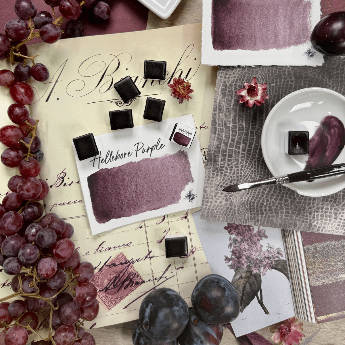 Stoneground Paint Co. Watercolour Pan Hellebore Purple Stoneground - Watercolour Half Pans - Series 4