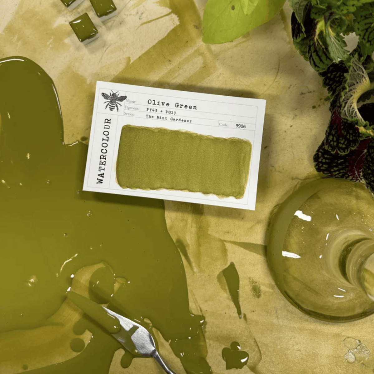Stoneground Paint Co. Watercolour Pan Olive Green Stoneground - Watercolour Half Pans - Series 3