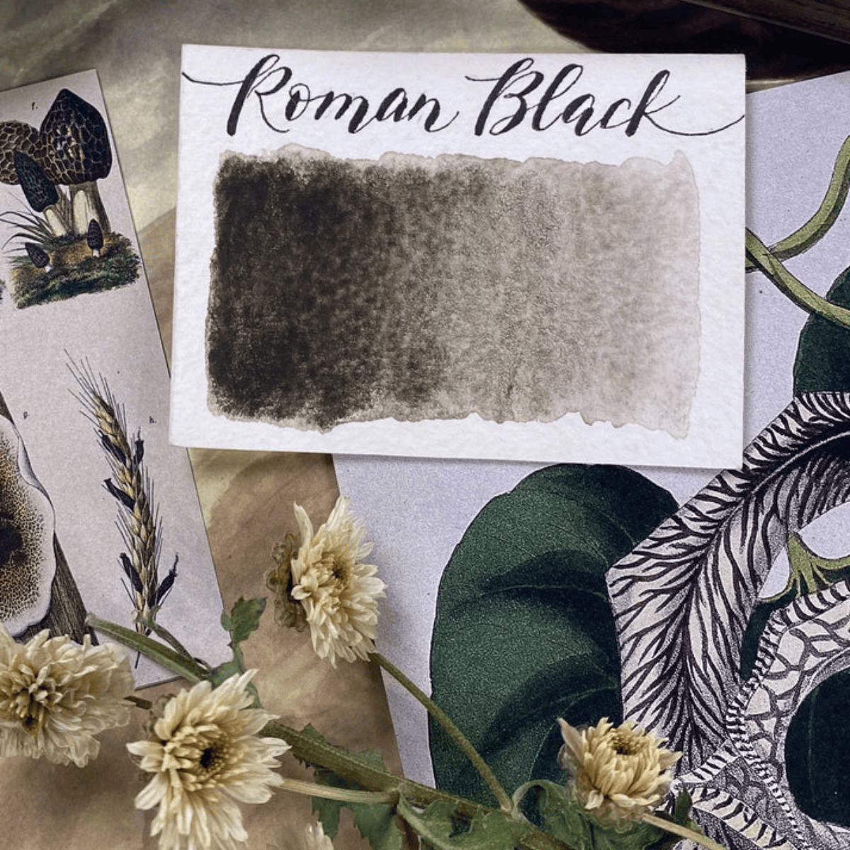 Stoneground Paint Co. Watercolour Pan Roman Black Stoneground - Watercolour Half Pans - Series 1