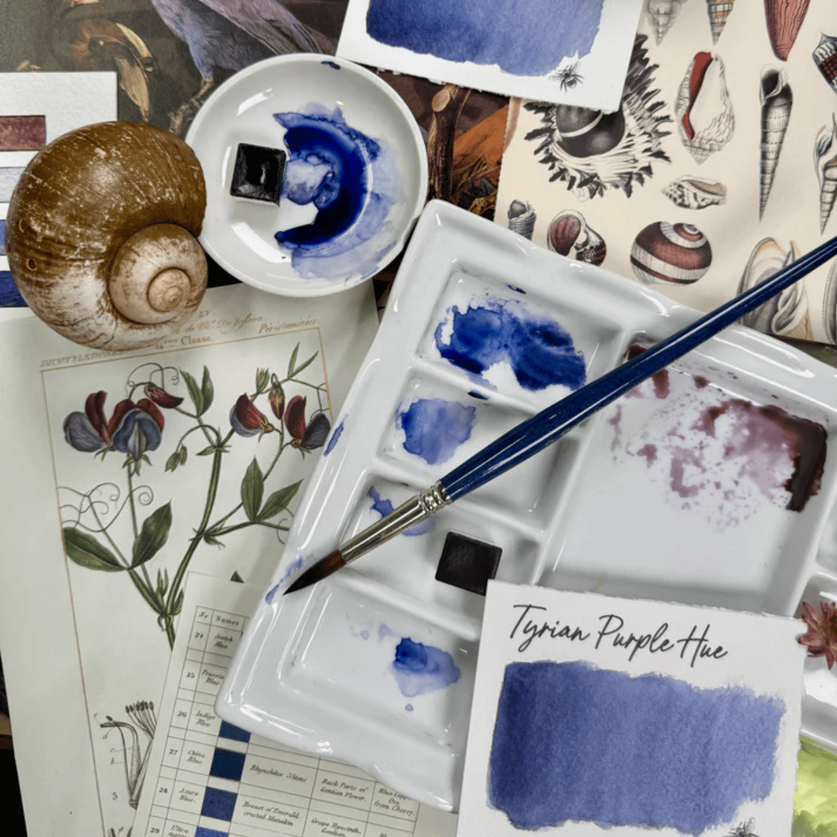 Stoneground Paint Co. Watercolour Pan Tyrian Purple Hue Stoneground - Watercolour Half Pans - Series 5