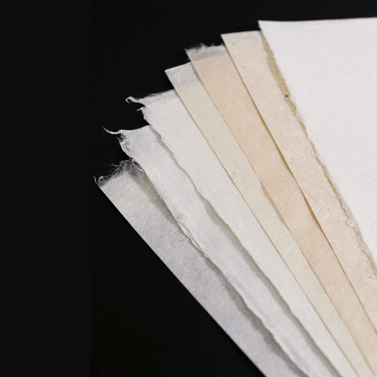 The Japanese Paper Place Paper Potluck The Japanese Paper Place - Printmaking Collection - Intaglio - 8 Sheets