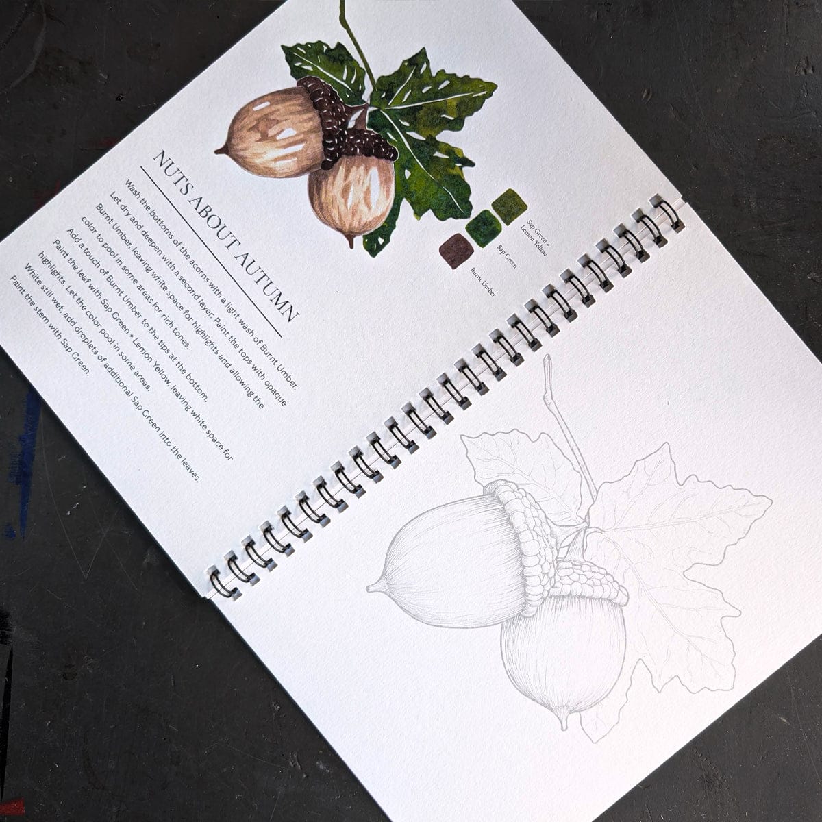 Willow Wolfe Trade Book Willow Wolfe - Watercolor Painting Workbook - Fall into Color
