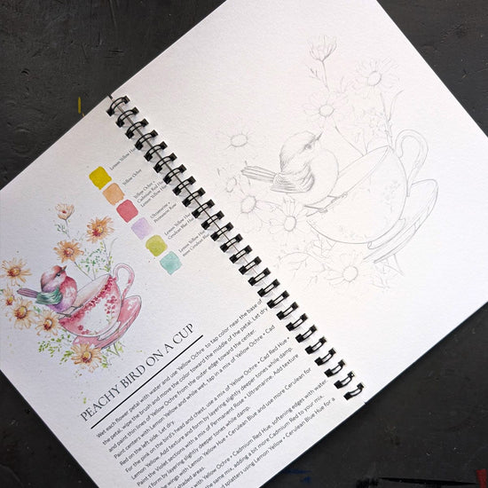 Willow Wolfe Trade Book Willow Wolfe - Watercolor Painting Workbook - Feathers & Finery