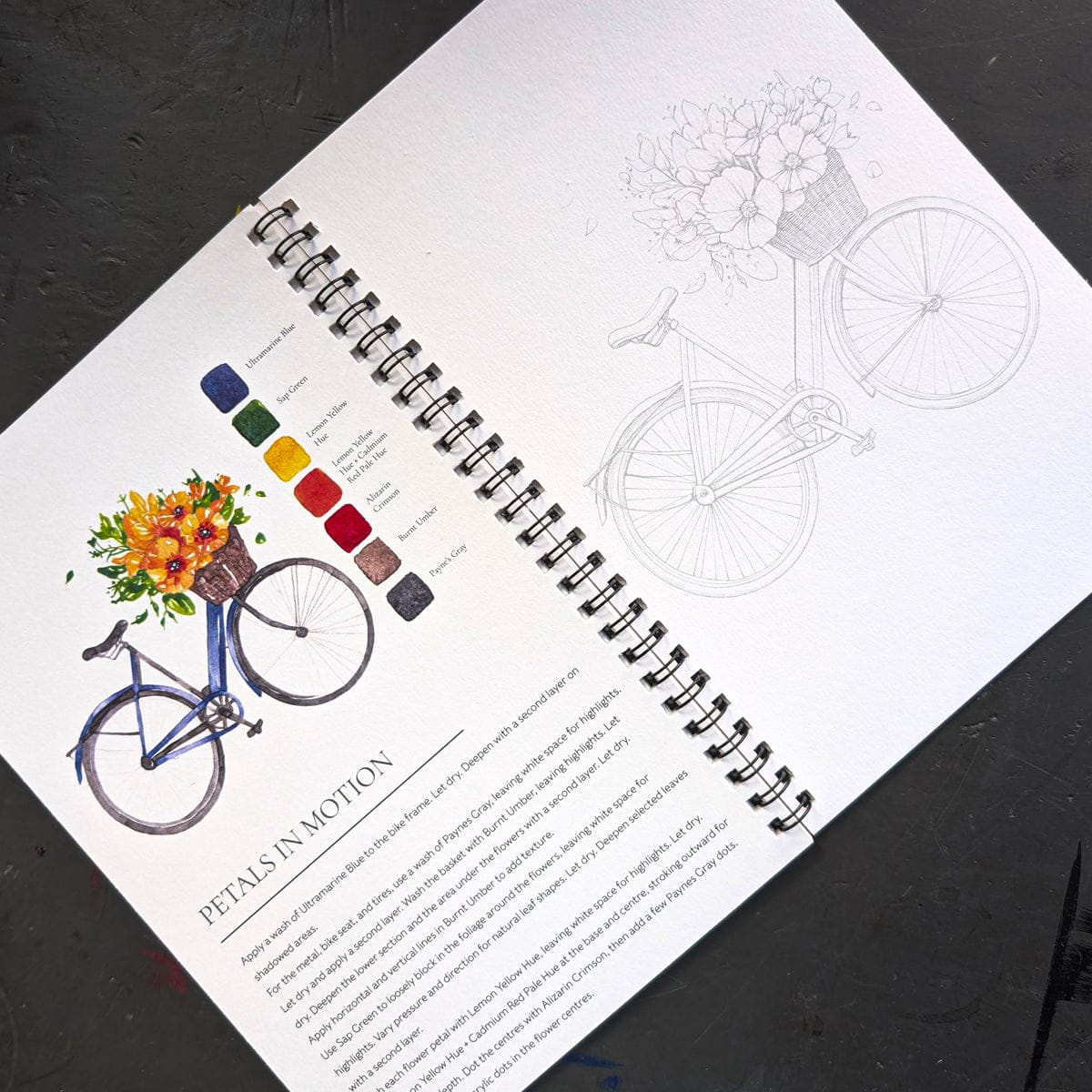 Willow Wolfe Trade Book Willow Wolfe - Watercolor Painting Workbook - Pretty Pots