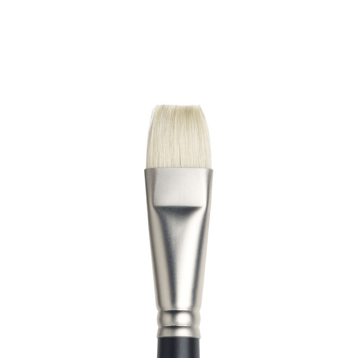 Winsor & Newton Bristle Brush #12 - 5901012 Winsor & Newton - Artists' Oil Brushes - Bright / Short Flat