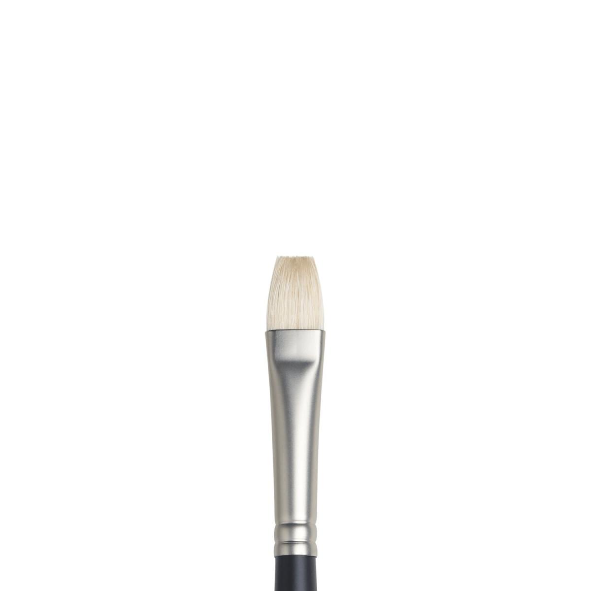 Winsor & Newton Bristle Brush #7 - 5901007 Winsor & Newton - Artists' Oil Brushes - Bright / Short Flat