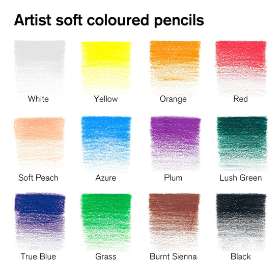 Winsor & Newton Colour Pencil Set Winsor & Newton - Colour Pencils - Soft Thick-Core - 12 Colour Set - Item #0490012