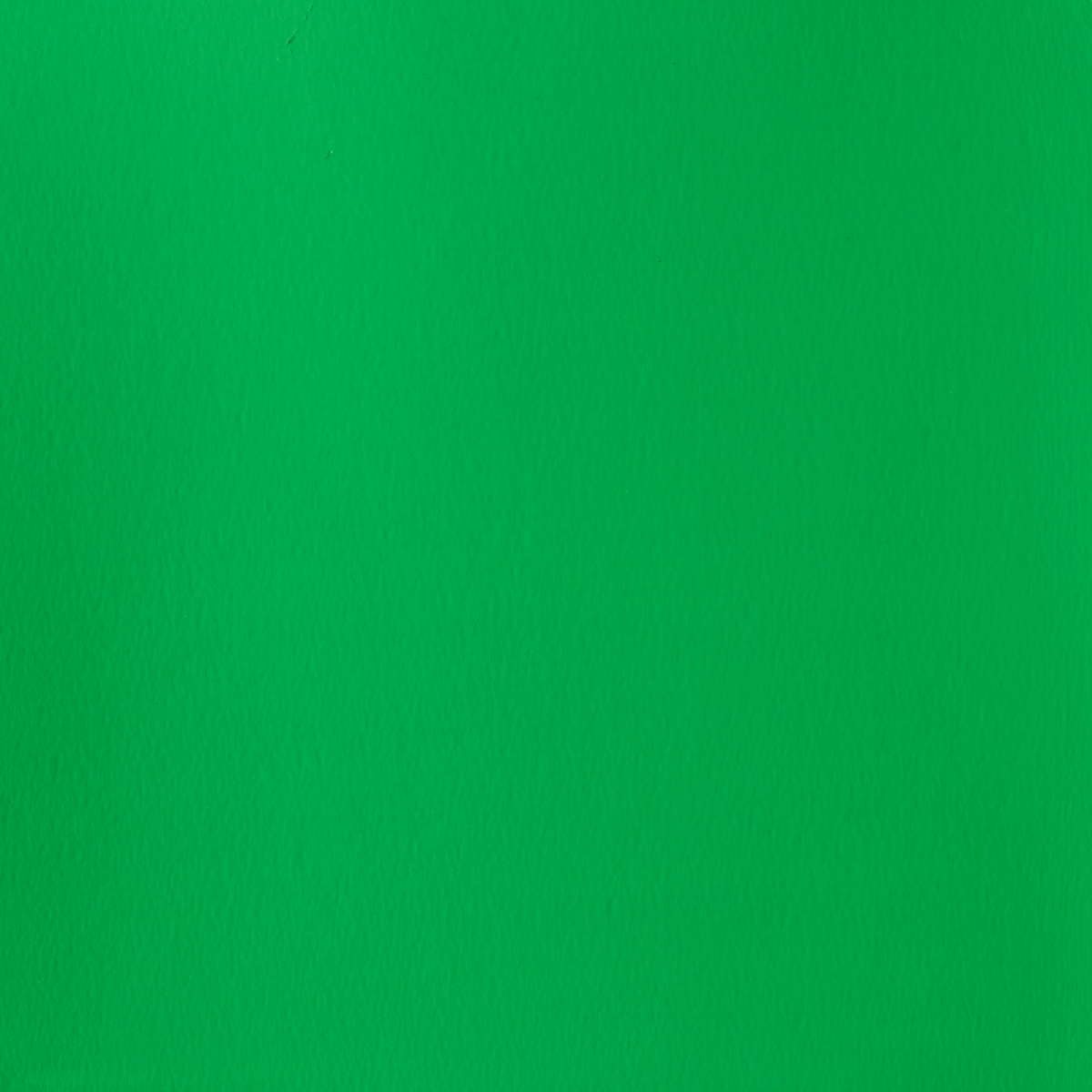 Winsor & Newton Designer Gouache Permanent Green Light - 483 Winsor & Newton - Designers Gouache - 14mL Tubes - Series 2