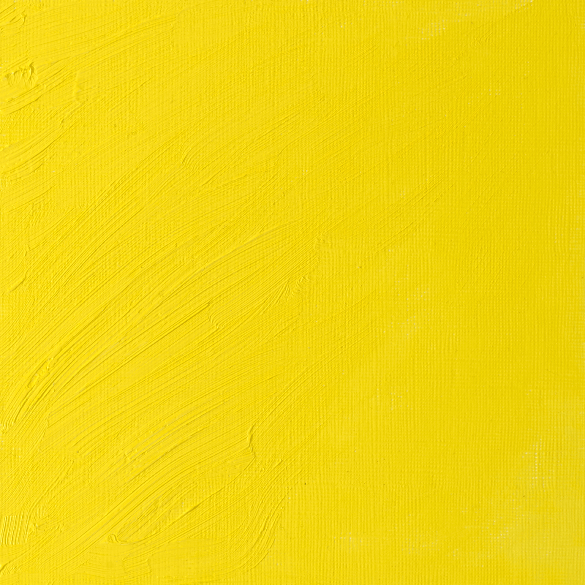 Winsor & Newton Oil Colour Bismuth Yellow - 025 Winsor & Newton - Artists' Oil Colour - Individual 37mL Tubes - Series 4