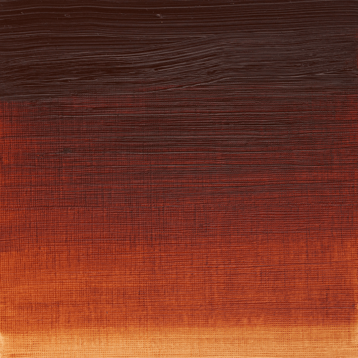 Winsor & Newton Oil Colour Burnt Sienna - 074 Winsor & Newton - Artists' Oil Colour - Individual 37mL Tubes - Series 1