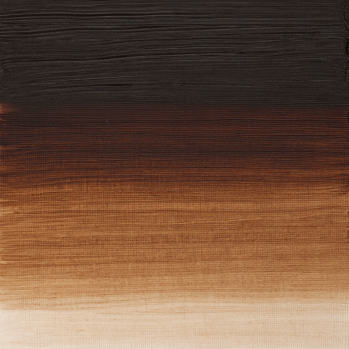 Winsor & Newton Oil Colour Burnt Umber - 076 Winsor & Newton - Artists' Oil Colour - Individual 37mL Tubes - Series 1