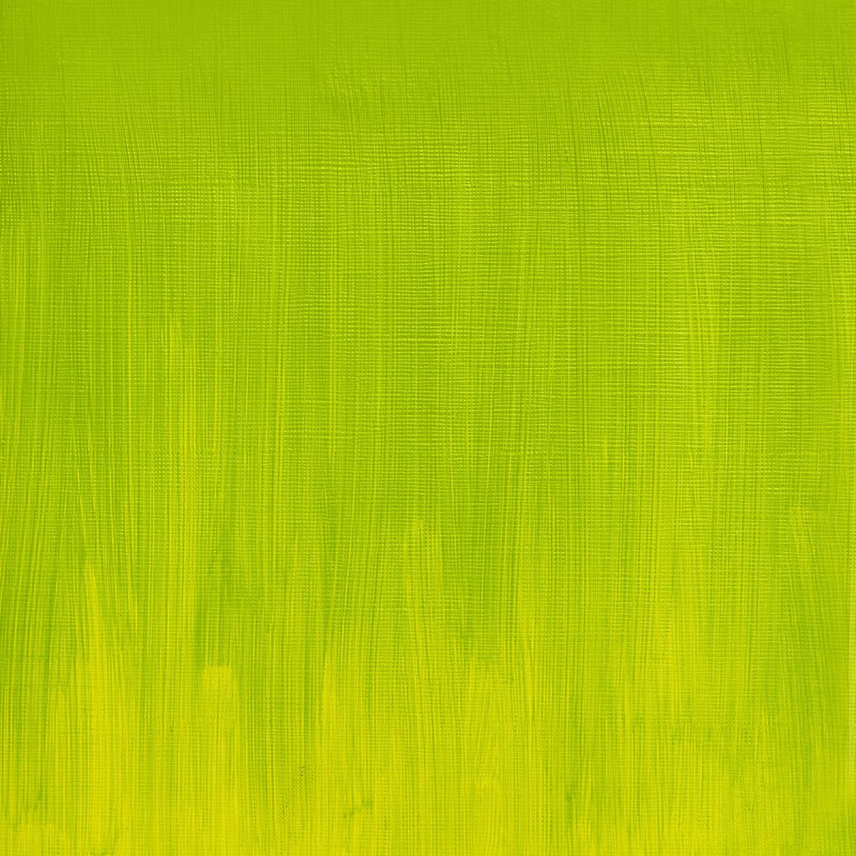 Winsor & Newton Oil Colour Cadmium-Free Green Pale - 897 Winsor & Newton - Artists' Oil Colour - Individual 37mL Tubes - Series 4