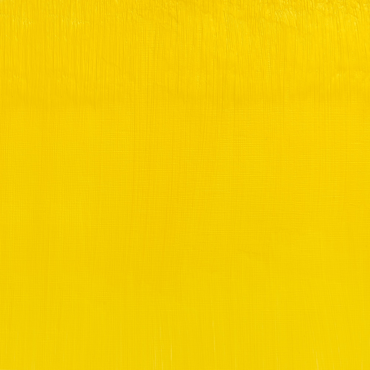 Winsor & Newton Oil Colour Cadmium-Free Lemon - 989 Winsor & Newton - Artists' Oil Colour - Individual 37mL Tubes - Series 4