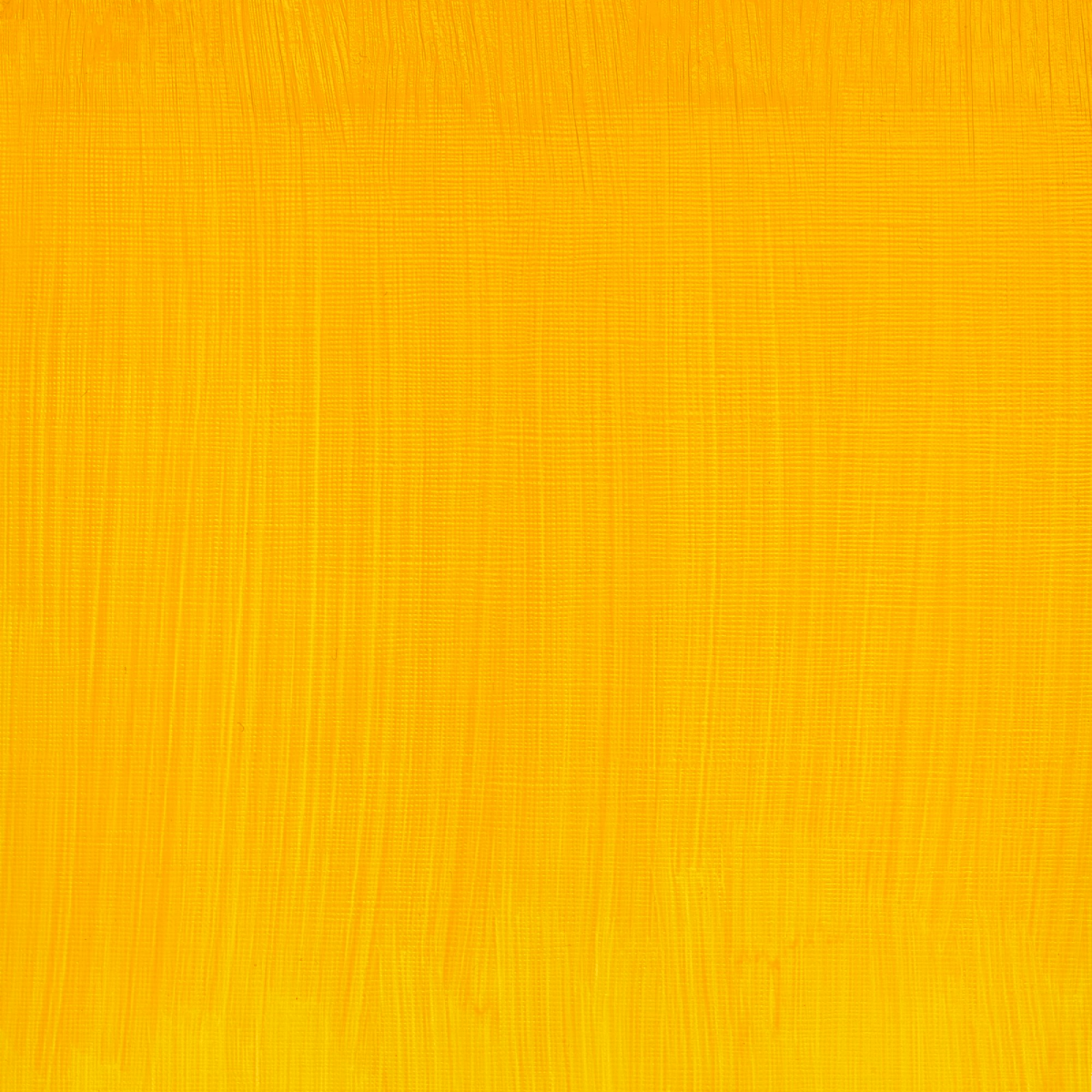Winsor & Newton Oil Colour Cadmium-Free Yellow - 890 Winsor & Newton - Artists' Oil Colour - Individual 37mL Tubes - Series 4