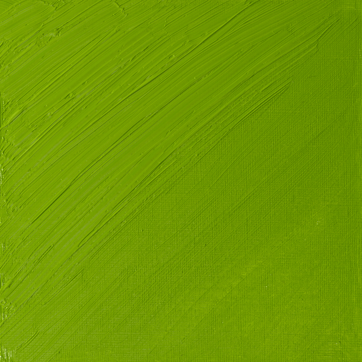 Winsor & Newton Oil Colour Cadmium Green Pale - 897 Winsor & Newton - Artists' Oil Colour - Individual 37mL Tubes - Series 4