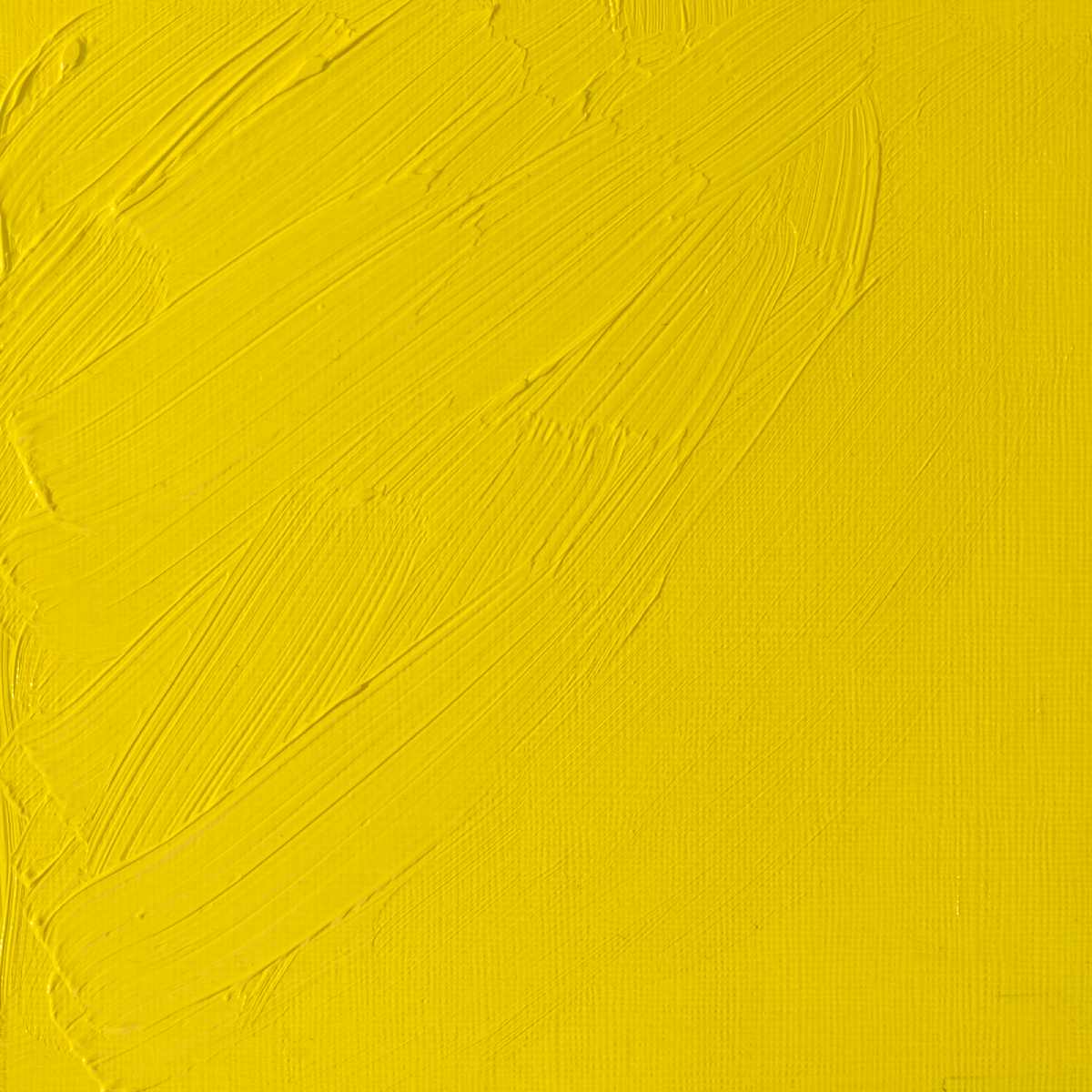 Winsor & Newton Oil Colour Cadmium Lemon - 086 Winsor & Newton - Artists' Oil Colour - Individual 37mL Tubes - Series 4