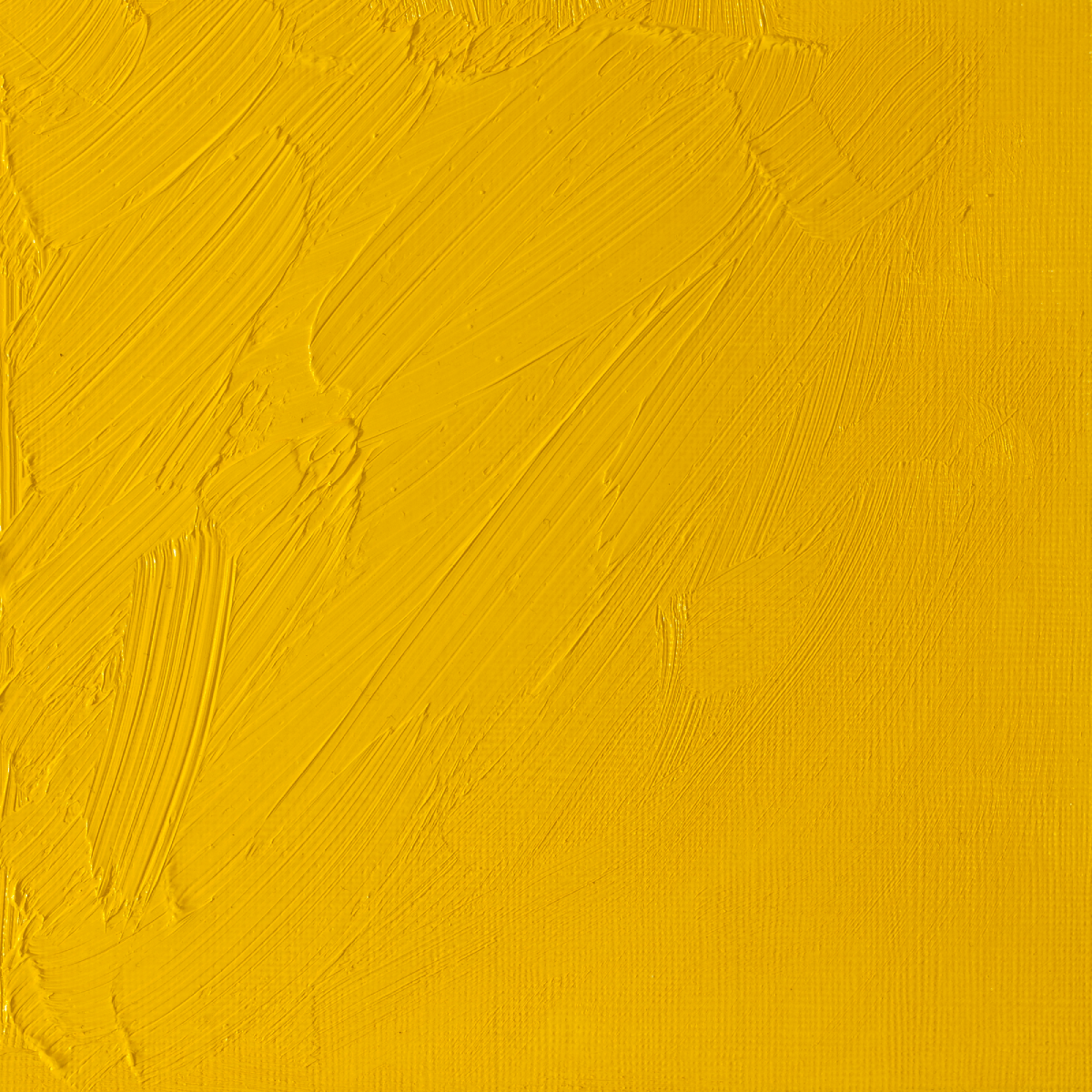 Winsor & Newton Oil Colour Cadmium Yellow Pale - 118 Winsor & Newton - Artists' Oil Colour - Individual 37mL Tubes - Series 4