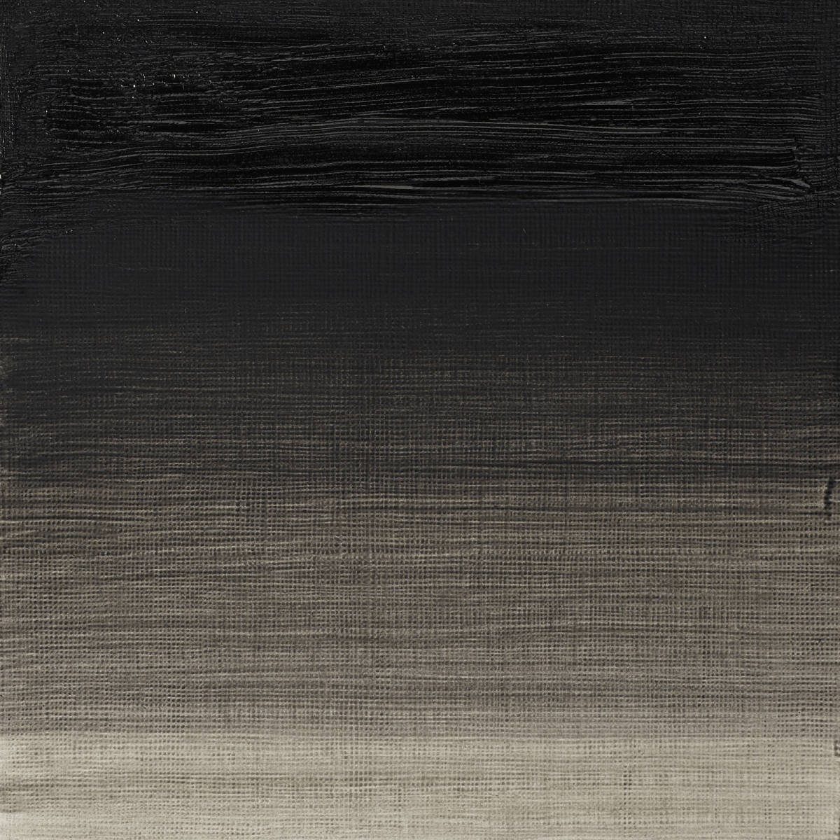 Winsor & Newton Oil Colour Charcoal Grey - 142 Winsor & Newton - Artists' Oil Colour - Individual 37mL Tubes - Series 1