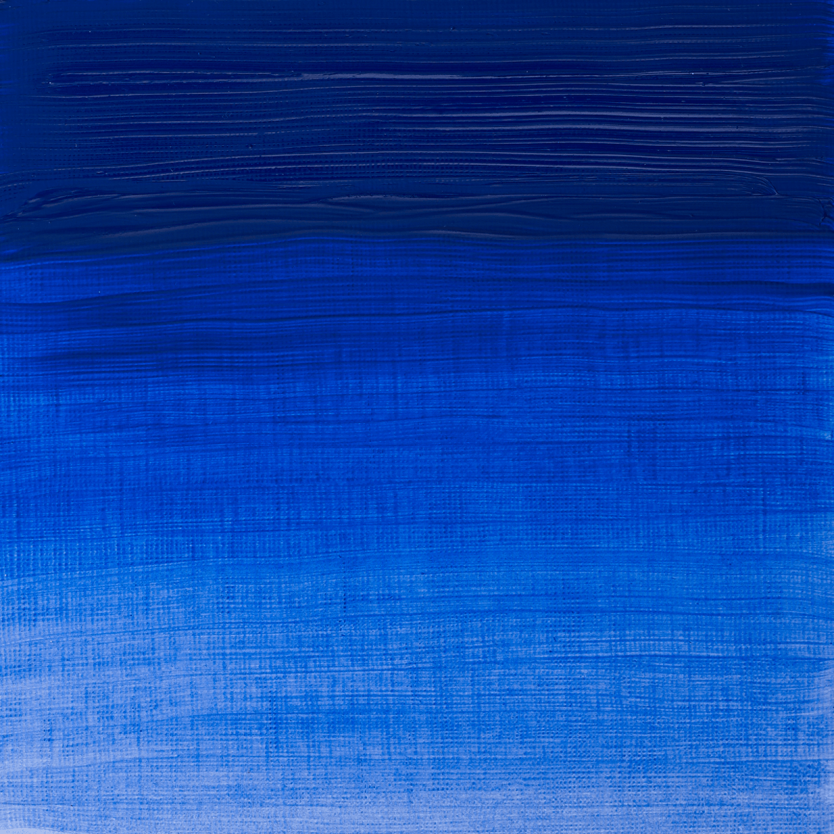 Winsor & Newton Oil Colour Cobalt Blue - 178 Winsor & Newton - Artists' Oil Colour - Individual 37mL Tubes - Series 4