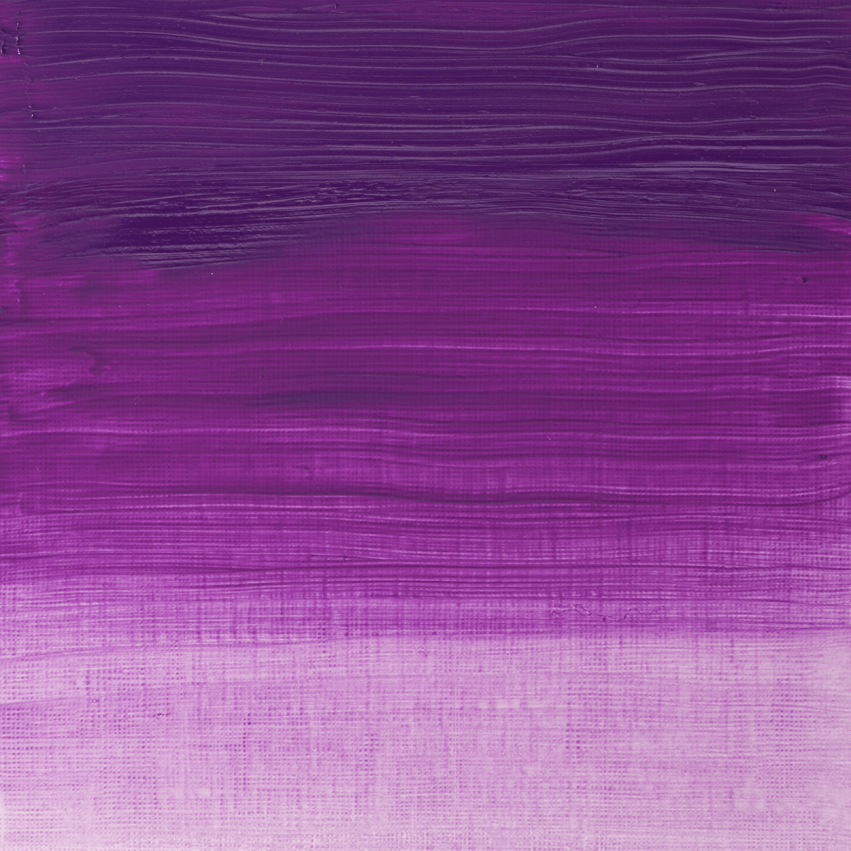 Winsor & Newton Oil Colour Cobalt Violet - 192 Winsor & Newton - Artists' Oil Colour - Individual 37mL Tubes - Series 5