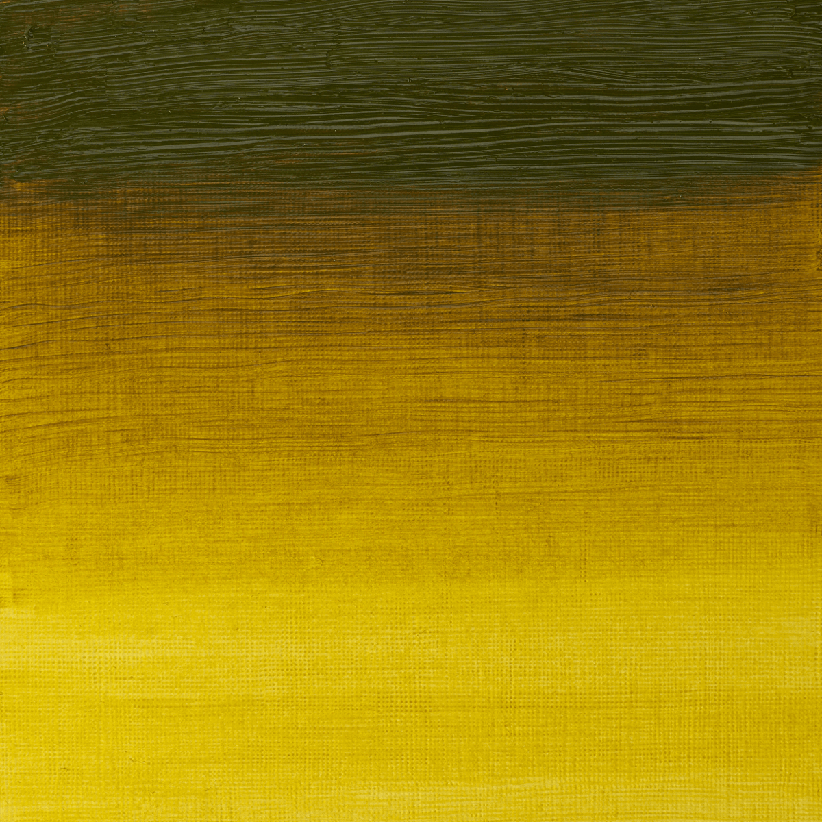 Winsor & Newton Oil Colour Green Gold - 294 Winsor & Newton - Artists' Oil Colour - Individual 37mL Tubes - Series 2