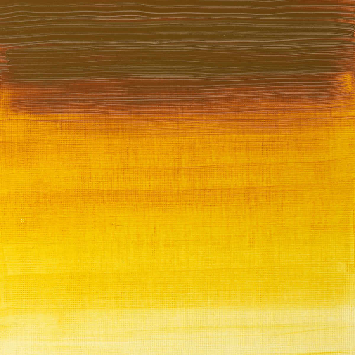 Winsor & Newton Oil Colour Indian Yellow Deep - 320 Winsor & Newton - Artists' Oil Colour - Individual 37mL Tubes - Series 2
