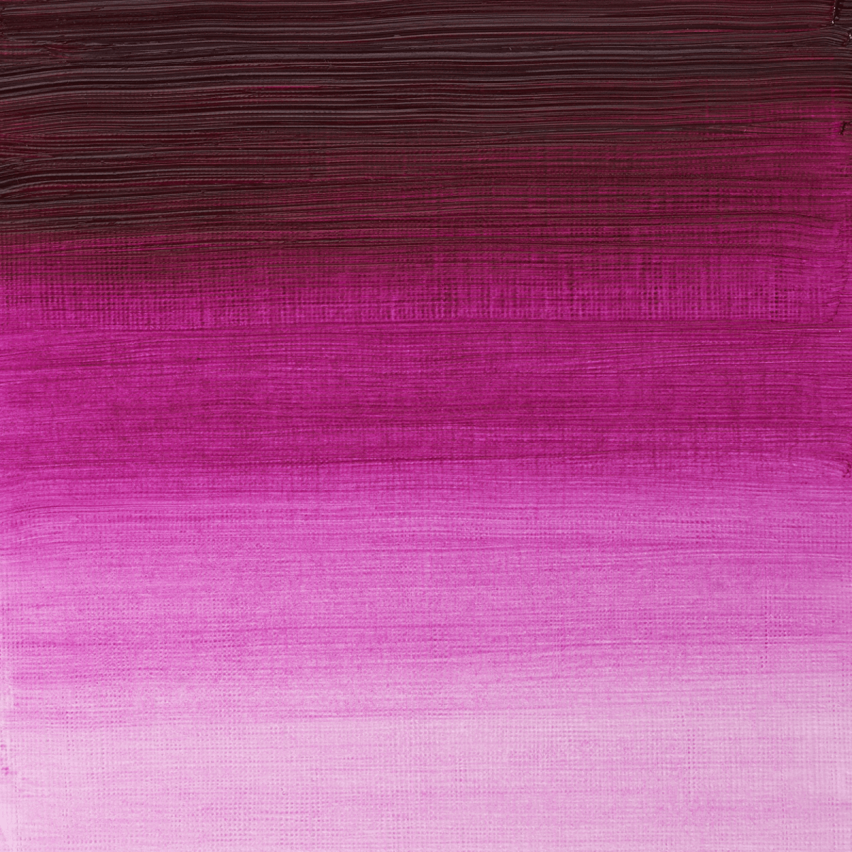 Winsor & Newton Oil Colour Magenta - 380 Winsor & Newton - Artists' Oil Colour - Individual 37mL Tubes - Series 2