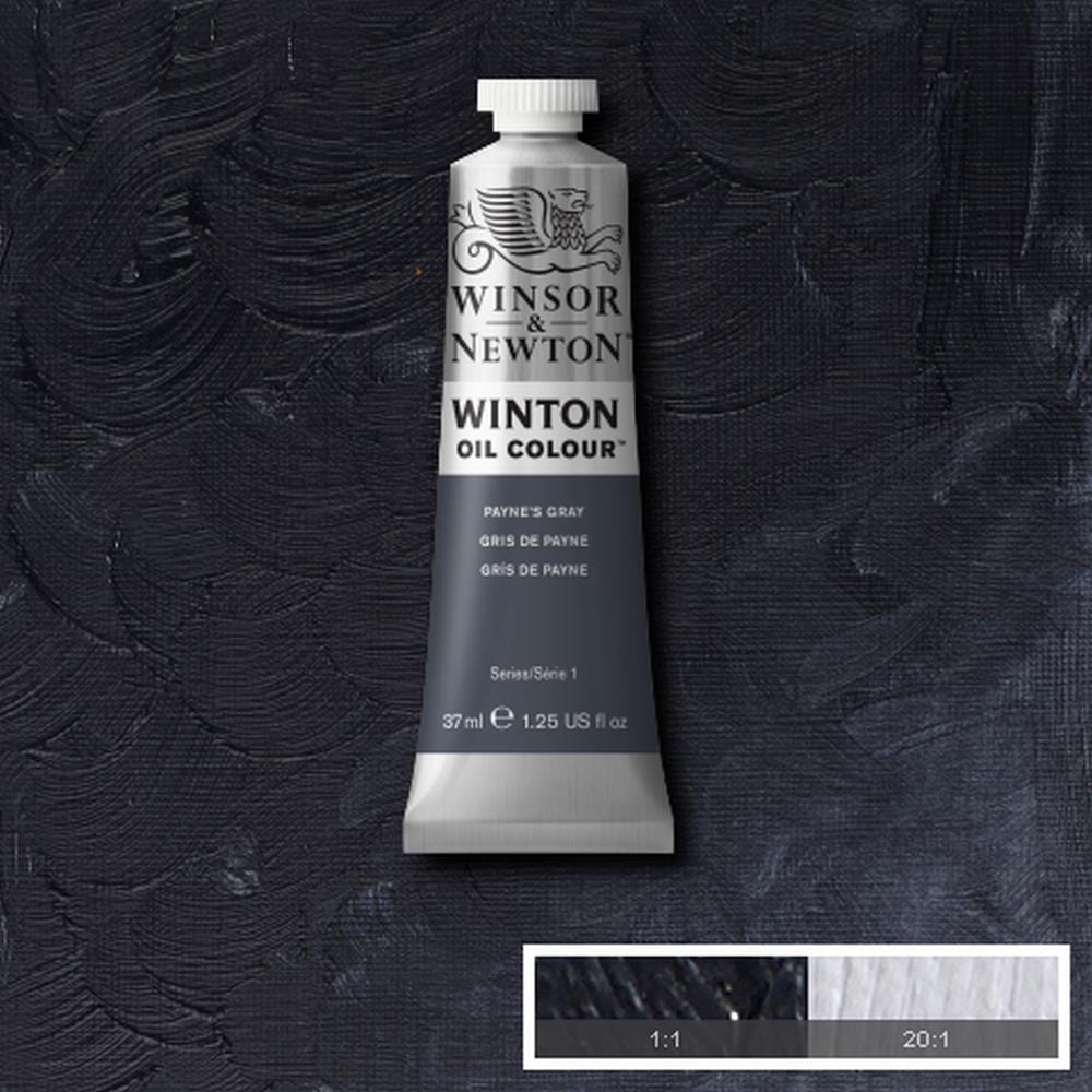 Winsor & Newton Oil Colour PAYNE'S GRAY Winsor & Newton - Winton Oil Colour - 37mL Tubes - Series 1
