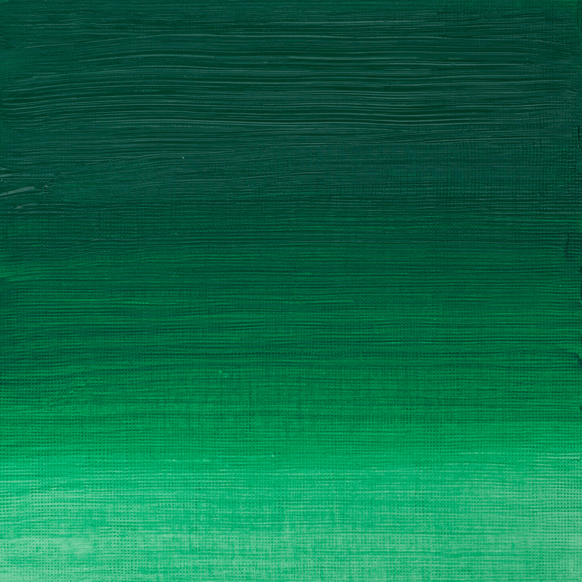 Winsor & Newton Oil Colour Permanent Green - 481 Winsor & Newton - Artists' Oil Colour - Individual 37mL Tubes - Series 2
