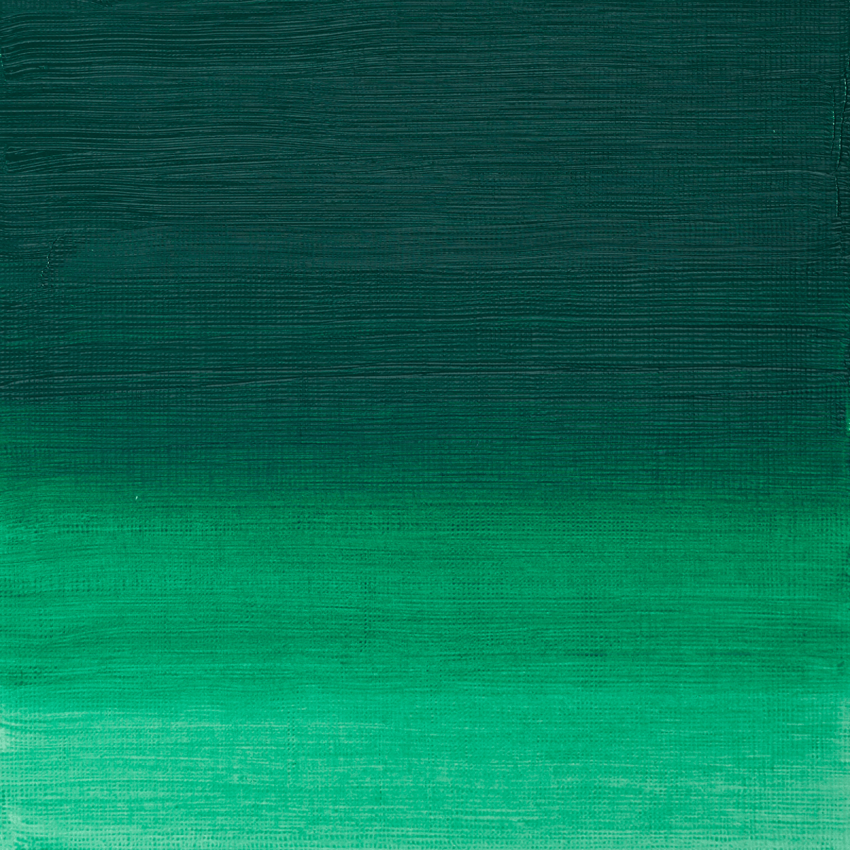 Winsor & Newton Oil Colour Permanent Green Deep - 482 Winsor & Newton - Artists' Oil Colour - Individual 37mL Tubes - Series 2