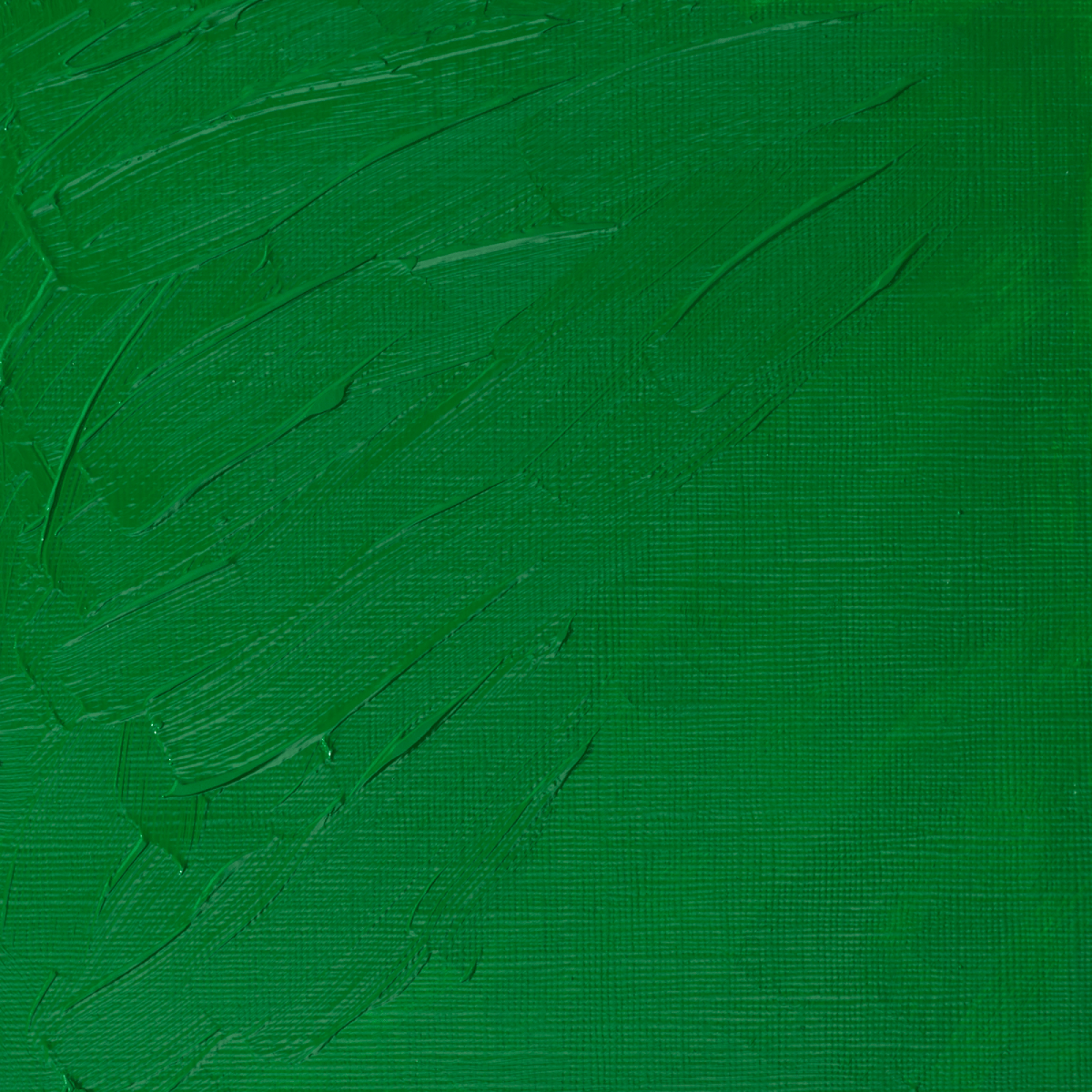 Winsor & Newton Oil Colour Permanent Green Light - 483 Winsor & Newton - Artists' Oil Colour - Individual 37mL Tubes - Series 2