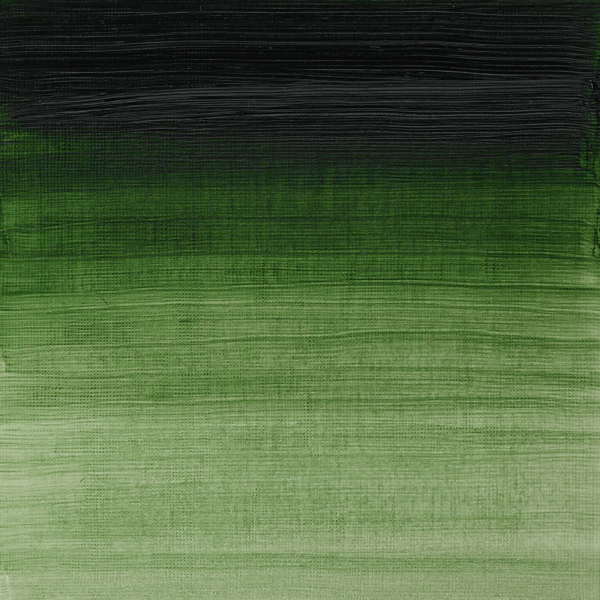 Winsor & Newton Oil Colour Prussian Green - 540 Winsor & Newton - Artists' Oil Colour - Individual 37mL Tubes - Series 2