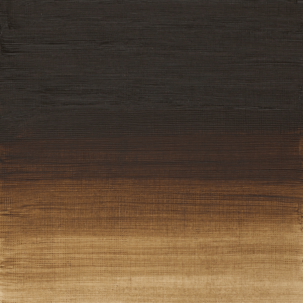 Winsor & Newton Oil Colour Raw Umber - 554 Winsor & Newton - Artists' Oil Colour - Individual 37mL Tubes - Series 1