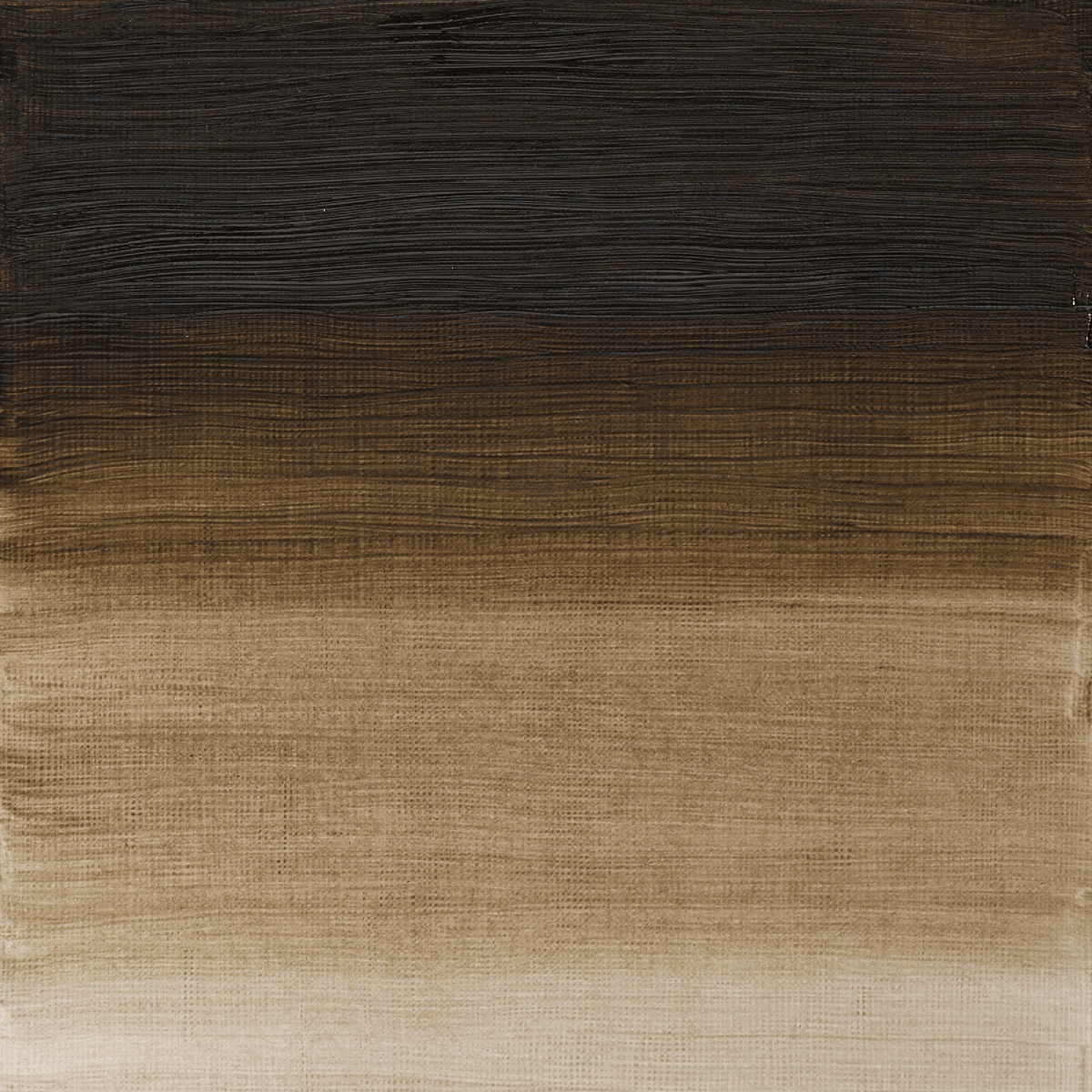 Winsor & Newton Oil Colour Raw Umber (Green Shade) - 558 Winsor & Newton - Artists' Oil Colour - Individual 37mL Tubes - Series 1