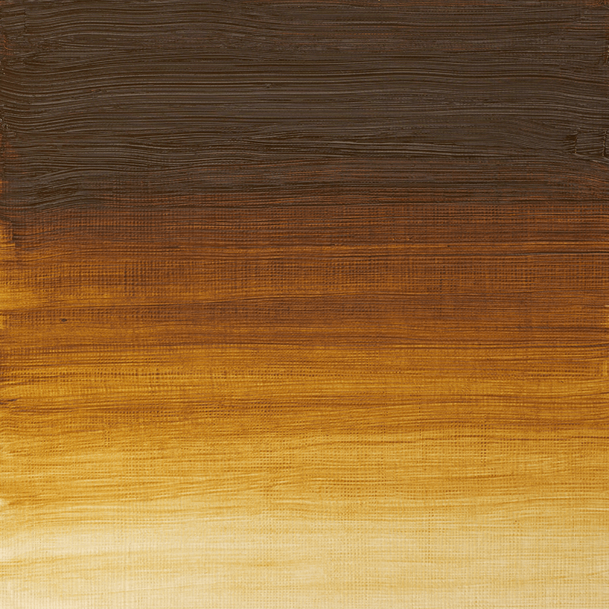 Winsor & Newton Oil Colour Raw Umber Light - 557 Winsor & Newton - Artists' Oil Colour - Individual 37mL Tubes - Series 1