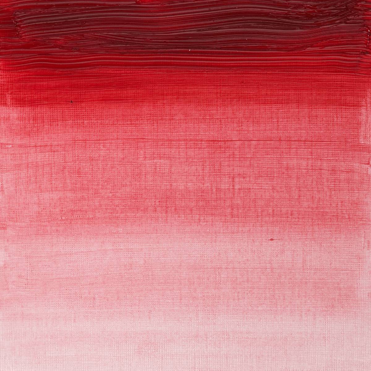 Winsor & Newton Oil Colour Rose Madder Genuine - 587 Winsor & Newton - Artists' Oil Colour - Individual 37mL Tubes - Series 5