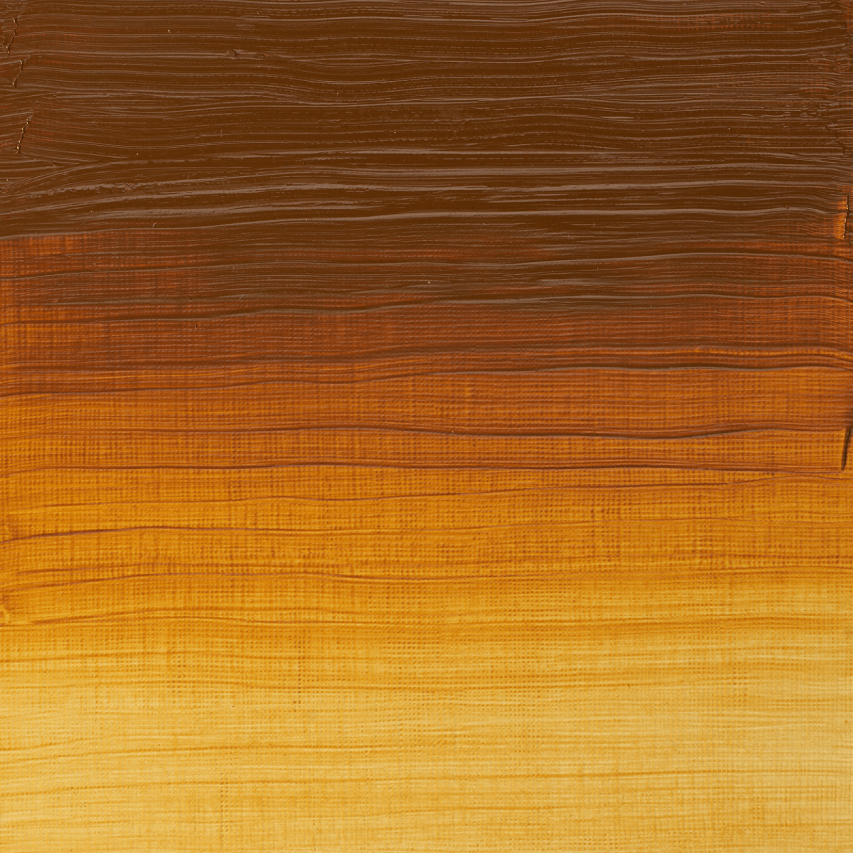 Winsor & Newton Oil Colour Transparent Gold Ochre - 646 Winsor & Newton - Artists' Oil Colour - Individual 37mL Tubes - Series 2