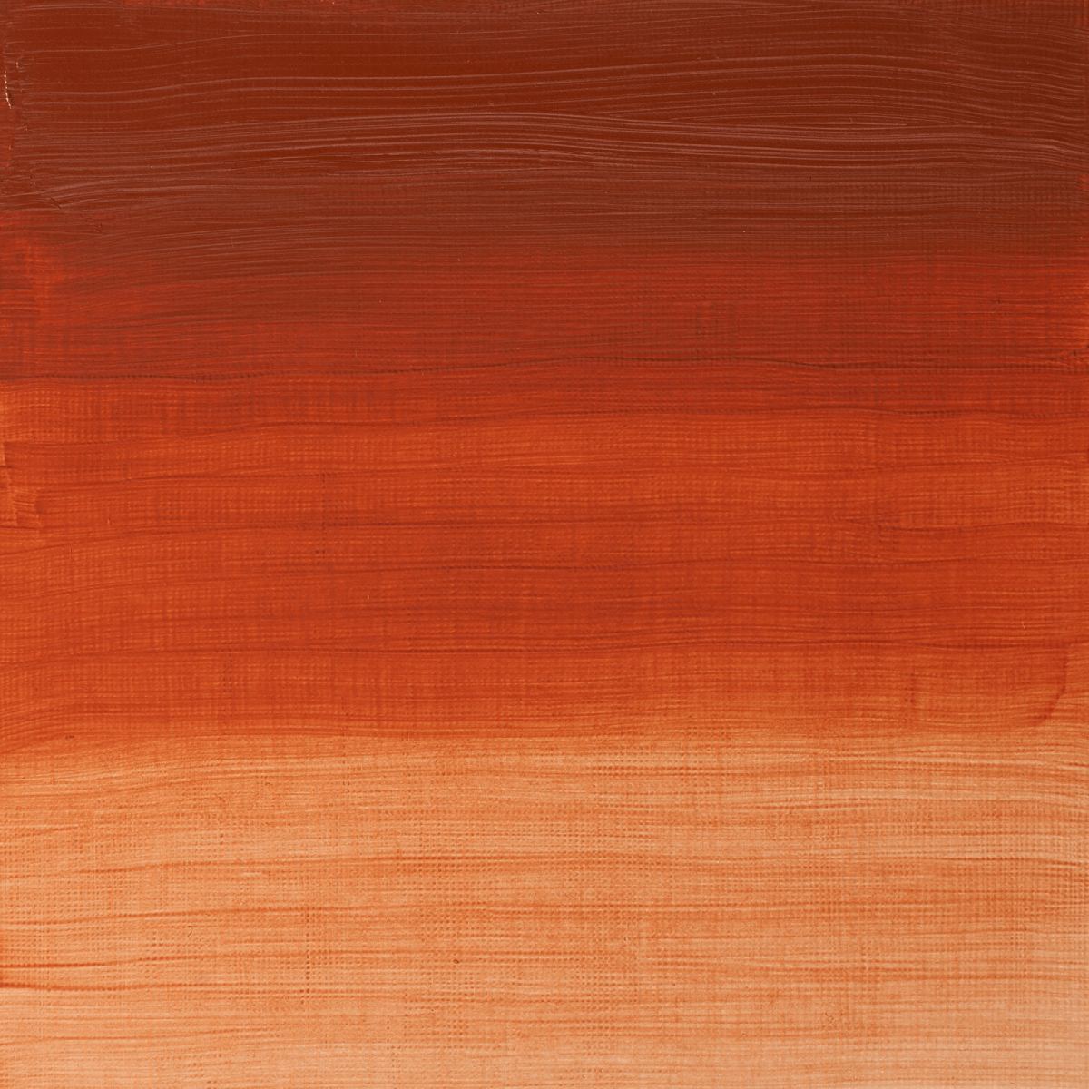 Winsor & Newton Oil Colour Transparent Red Ochre - 647 Winsor & Newton - Artists' Oil Colour - Individual 37mL Tubes - Series 1
