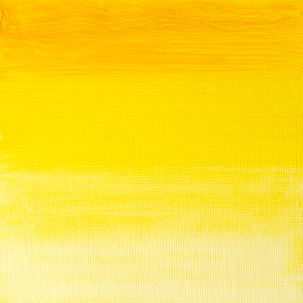 Winsor & Newton Oil Colour Transparent Yellow - 653 Winsor & Newton - Artists' Oil Colour - Individual 37mL Tubes - Series 4