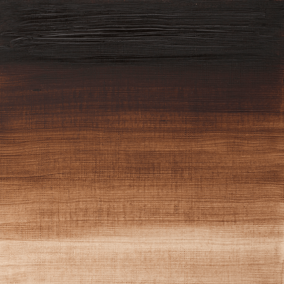 Winsor & Newton Oil Colour Vandyke Brown - 676 Winsor & Newton - Artists' Oil Colour - Individual 37mL Tubes - Series 1